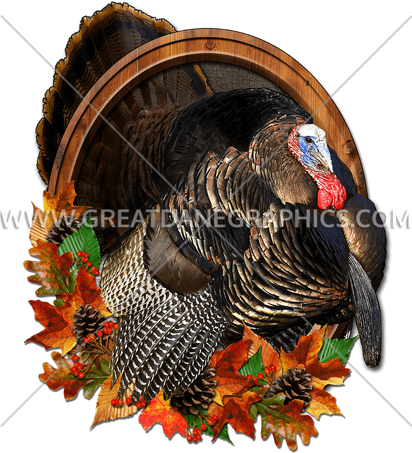 Mister Thankful Thanksgiving Turkey Baseball Sleeve - Turkey Clipart (826x909), Png Download