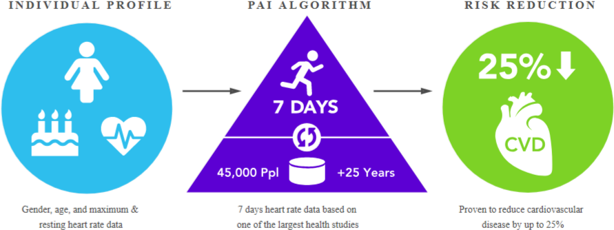 How Pai Works - Personal Activity Intelligence Clipart (935x378), Png Download