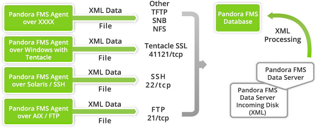 Original File - Pandora Fms Agent Architecture Clipart (1119x506), Png Download