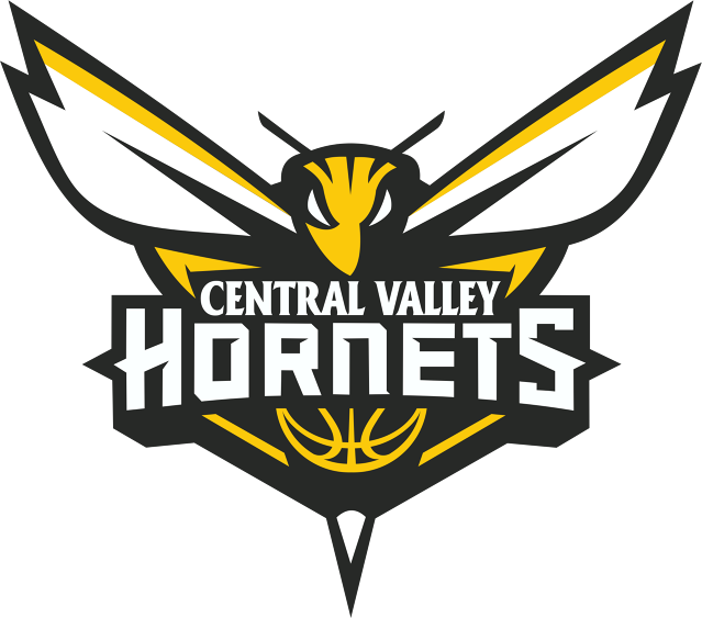 Welcome Home Page - Nba Charlotte Hornets Clipart (639x563), Png Download