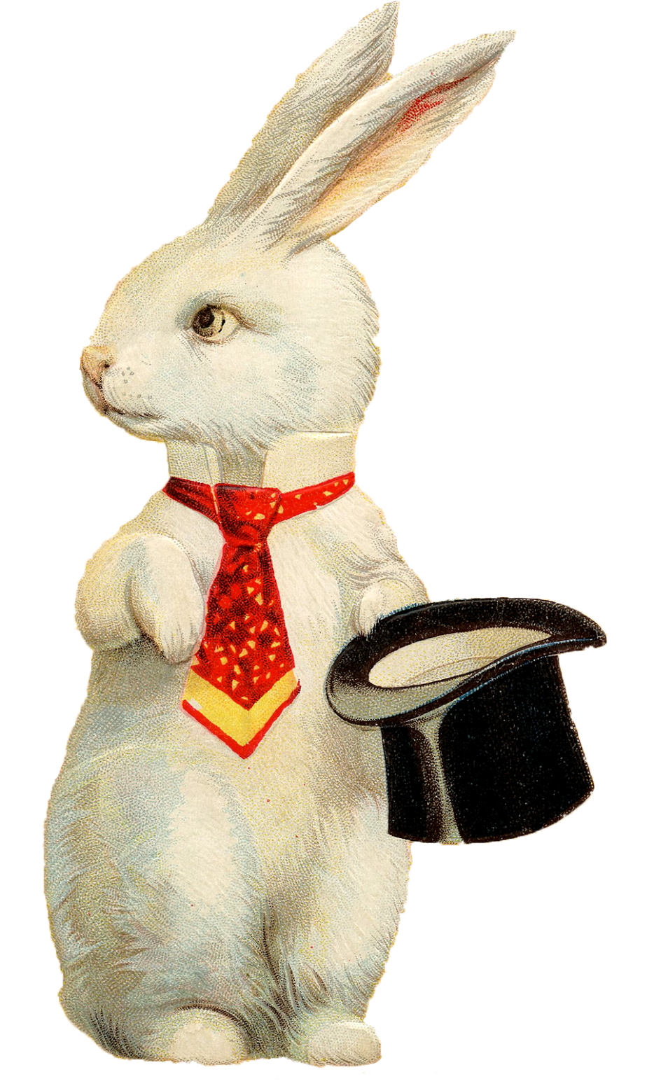 White Rabbit Tophat Graphicsfairy - Rabbit With Top Hat Clipart (934x1551), Png Download