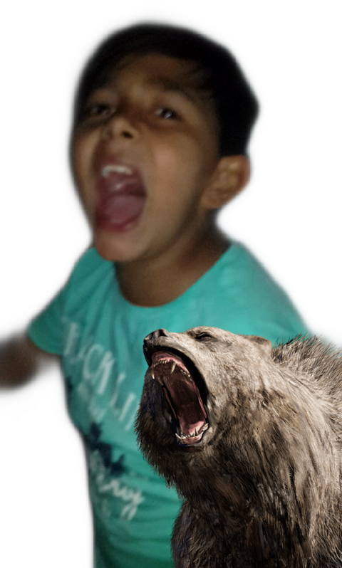 Cat Yawns Clipart (480x798), Png Download