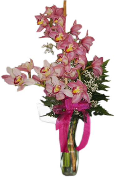 Orchid Transparent Vase - Orchid Vase Png Clipart (600x600), Png Download