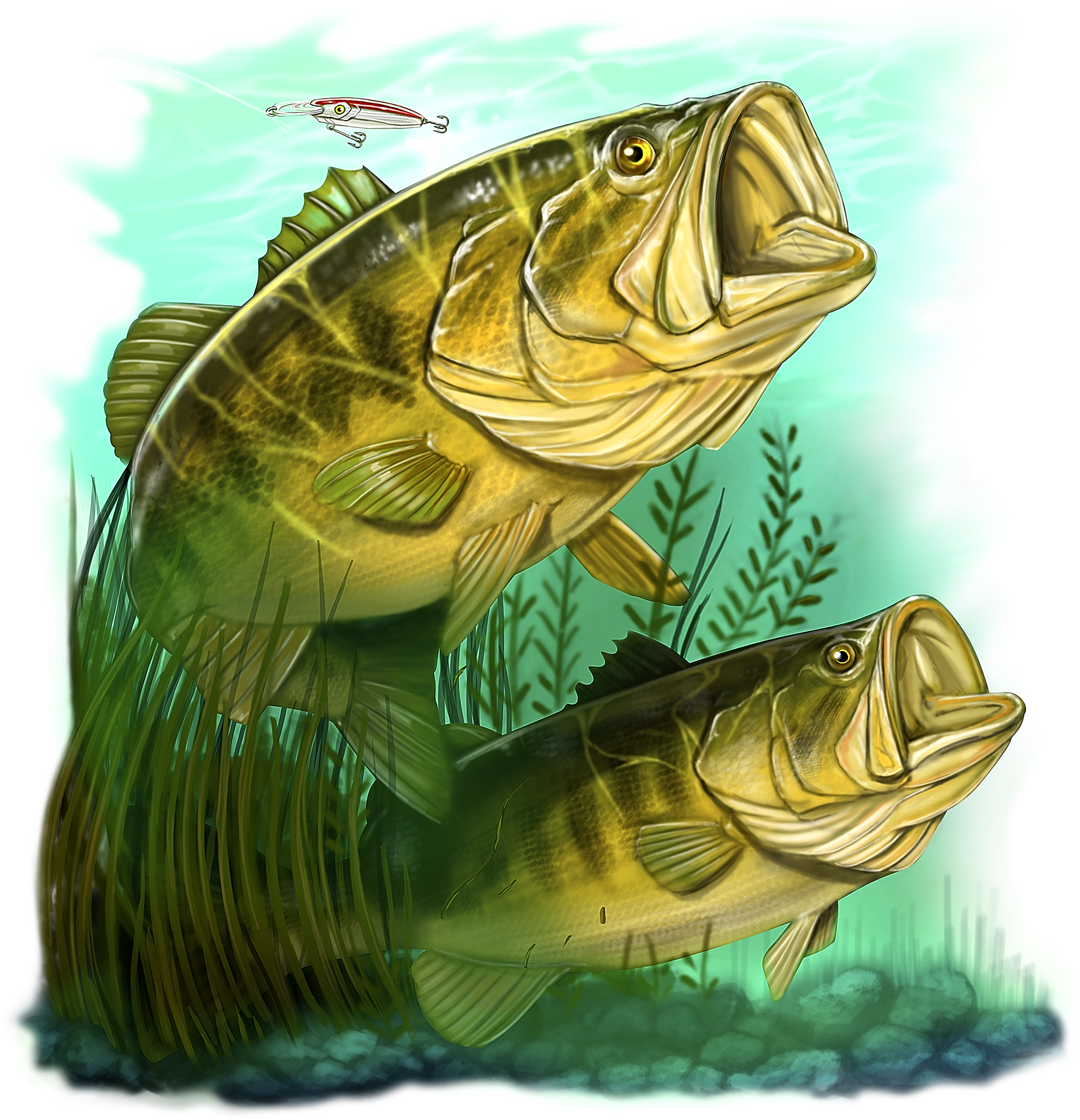 Large Mouth Bass Png Clipart (2100x2100), Png Download