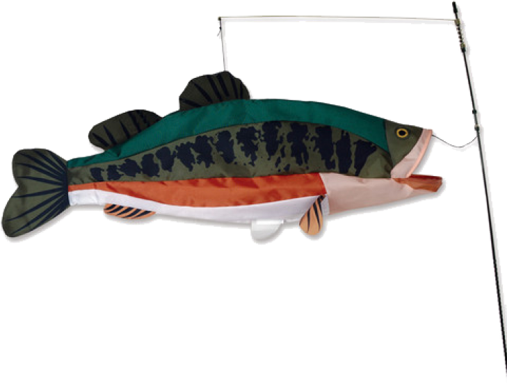 Large Mouth Bass Swimming 3d Fish - Bass Fish Kite Clipart (729x555), Png Download