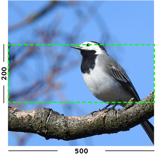 Example Of Min Filter On An Image - Old World Flycatcher Clipart (1100x600), Png Download
