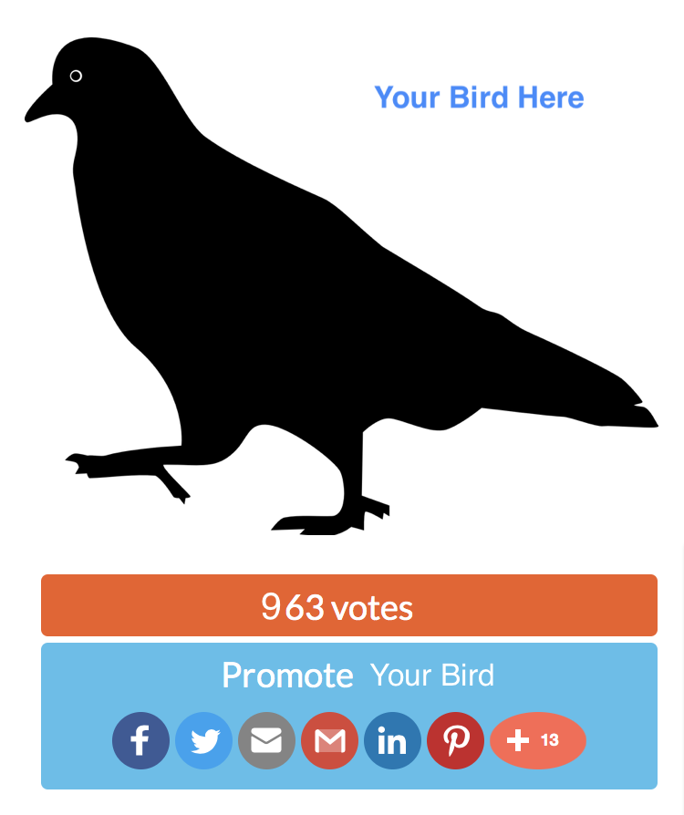 Vector Pigeon Silhouette Clipart (750x894), Png Download