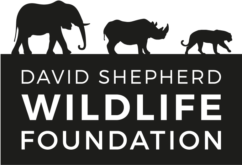 Impact Partners - David Shepherd Wildlife Foundation Clipart (842x595), Png Download
