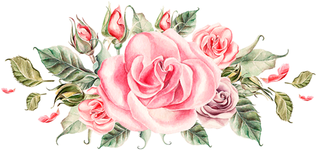 Bouquet Vector Rose Watercolor - Peony Flower Clip Art - Png Download (800x800), Png Download