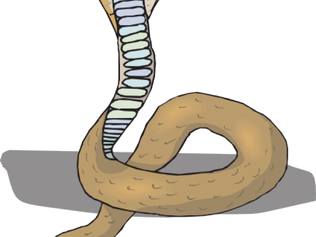 Gambar Kepala Ular Cobra Clipart (640x480), Png Download