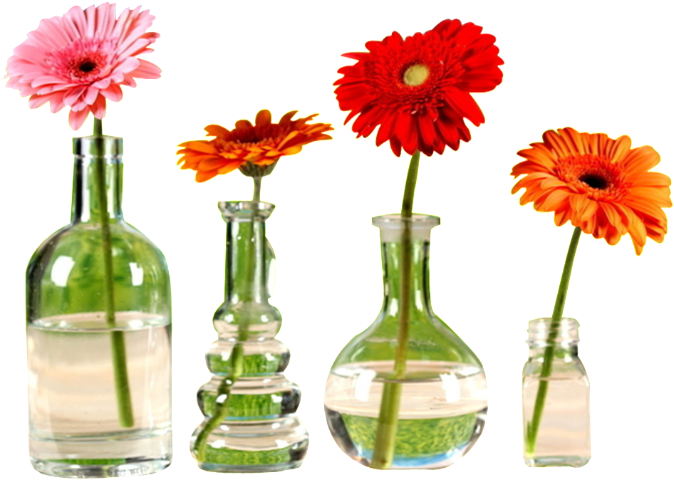 This Graphics Is Beautiful Flower Arrangement Png Chrysanthemum - Barberton Daisy Clipart (946x674), Png Download