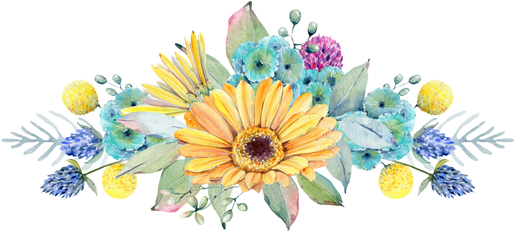 Hand Painted Golden Chrysanthemum Png Transparent - Watercolor Fiesta Floral Clipart (1013x455), Png Download