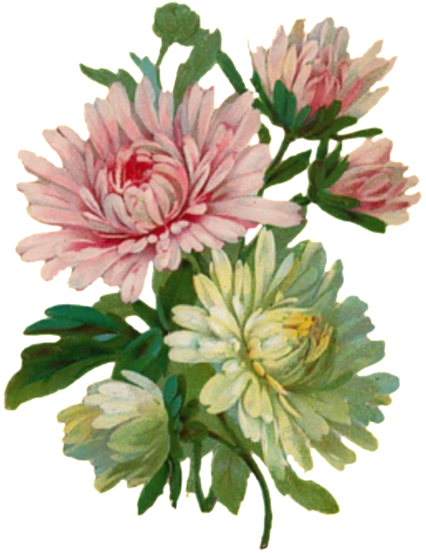 Svg Transparent Stock Cartoon Hand - Transparent Vintage Floral Clipart - Png Download (650x828), Png Download