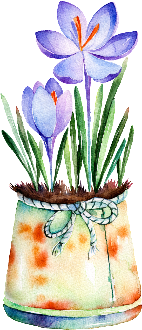 Purple Flower Potted Hand Painted Watercolor Transparent - Watercolor Painting Clipart (547x1272), Png Download