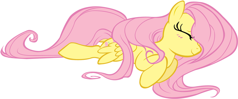 Kita-angel, Fluttershy, Safe, Sleeping - Cartoon Clipart (900x450), Png Download