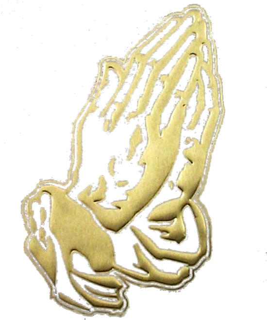 Bible On Praying Hands Transparent - Gold Praying Hands Png Clipart (555x666), Png Download