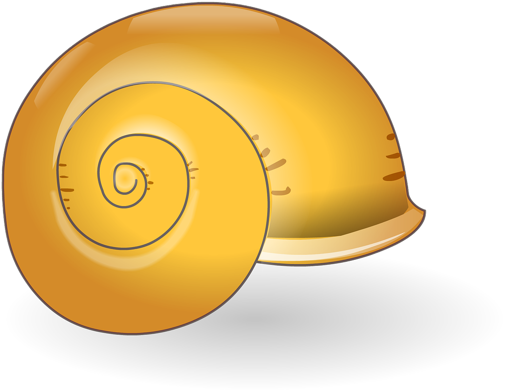 Shell Sea Shell Nature - Snail Clipart (1280x931), Png Download