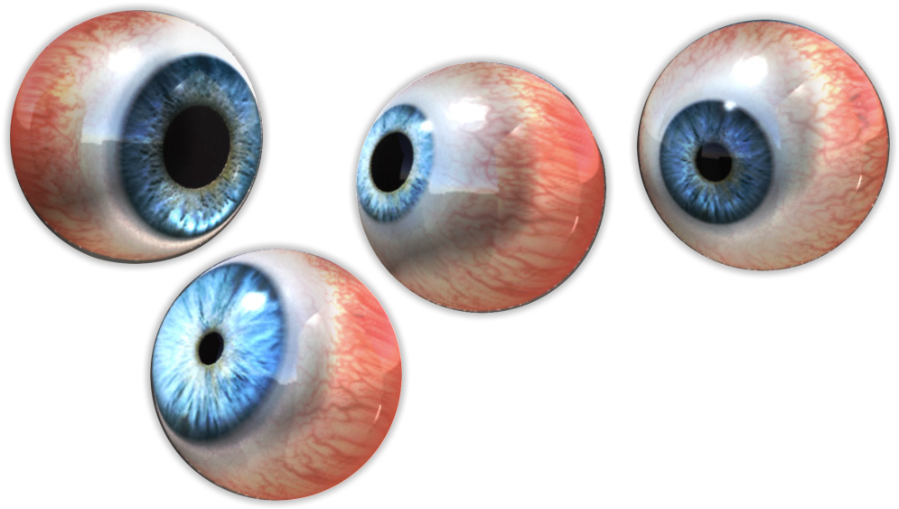 Photo Eyeballs - Close-up Clipart (1023x613), Png Download