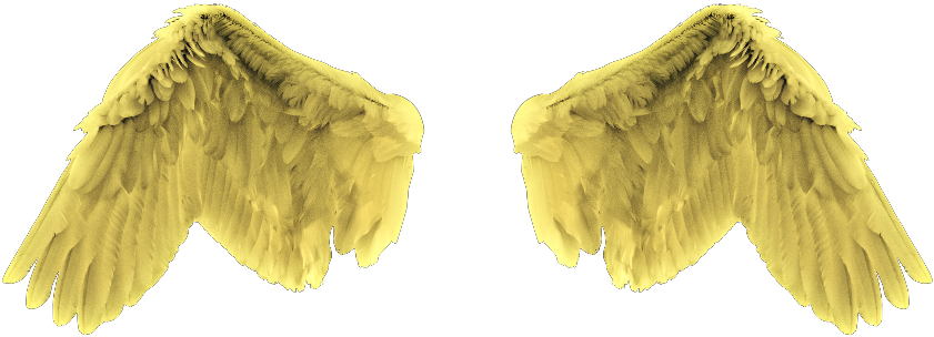 #angel #wings #gold #yellow - Earrings Clipart (1024x819), Png Download