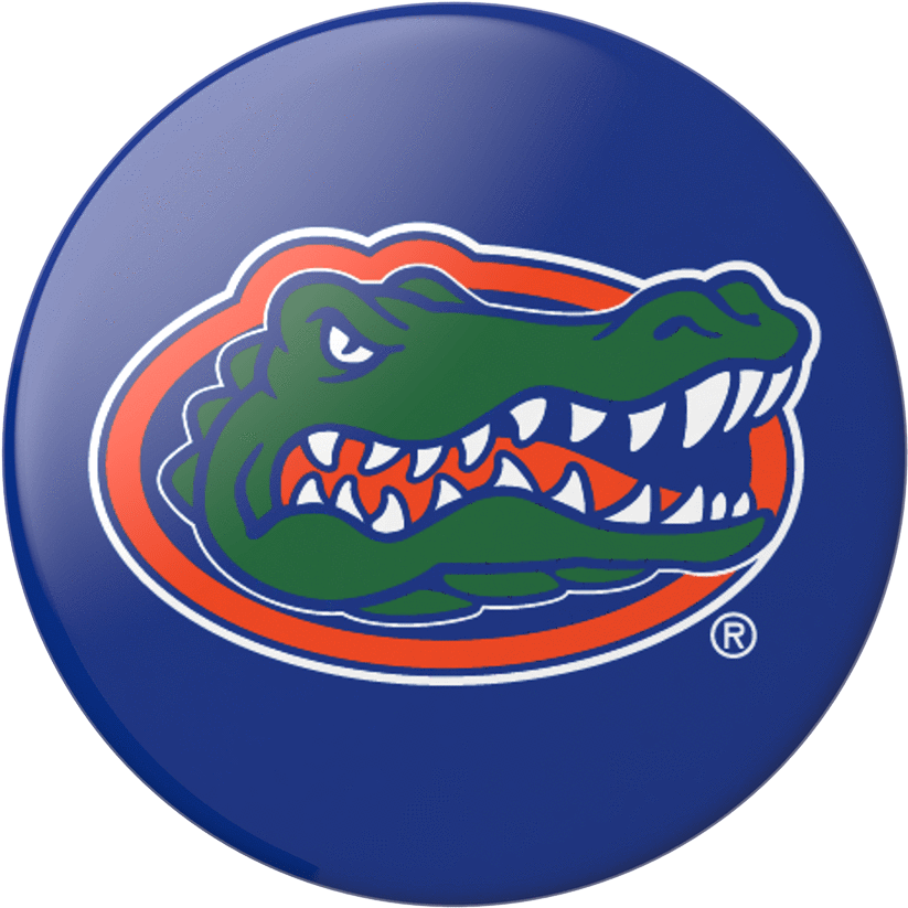 Florida Logo - Florida Gators Clipart (1000x1000), Png Download