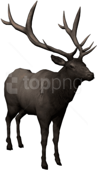 Free Png Download Moose Png Images Background Png Images - Elk Clipart (850x638), Png Download