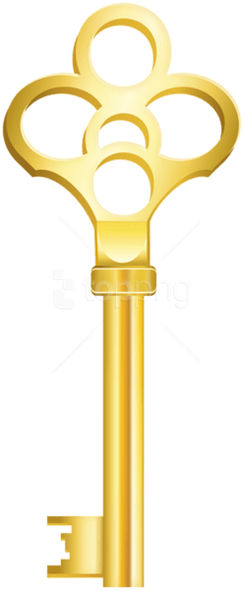 Clip Art Golden Key Png Transparent Png (480x1162), Png Download