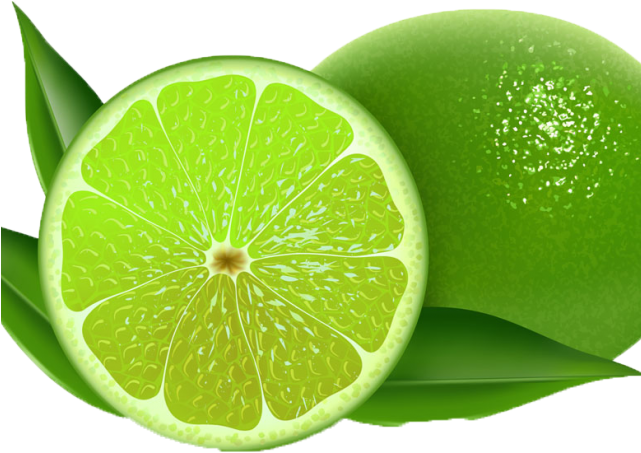 Lime Clipart Green Lemon - Lime Clipart - Png Download (640x480), Png Download