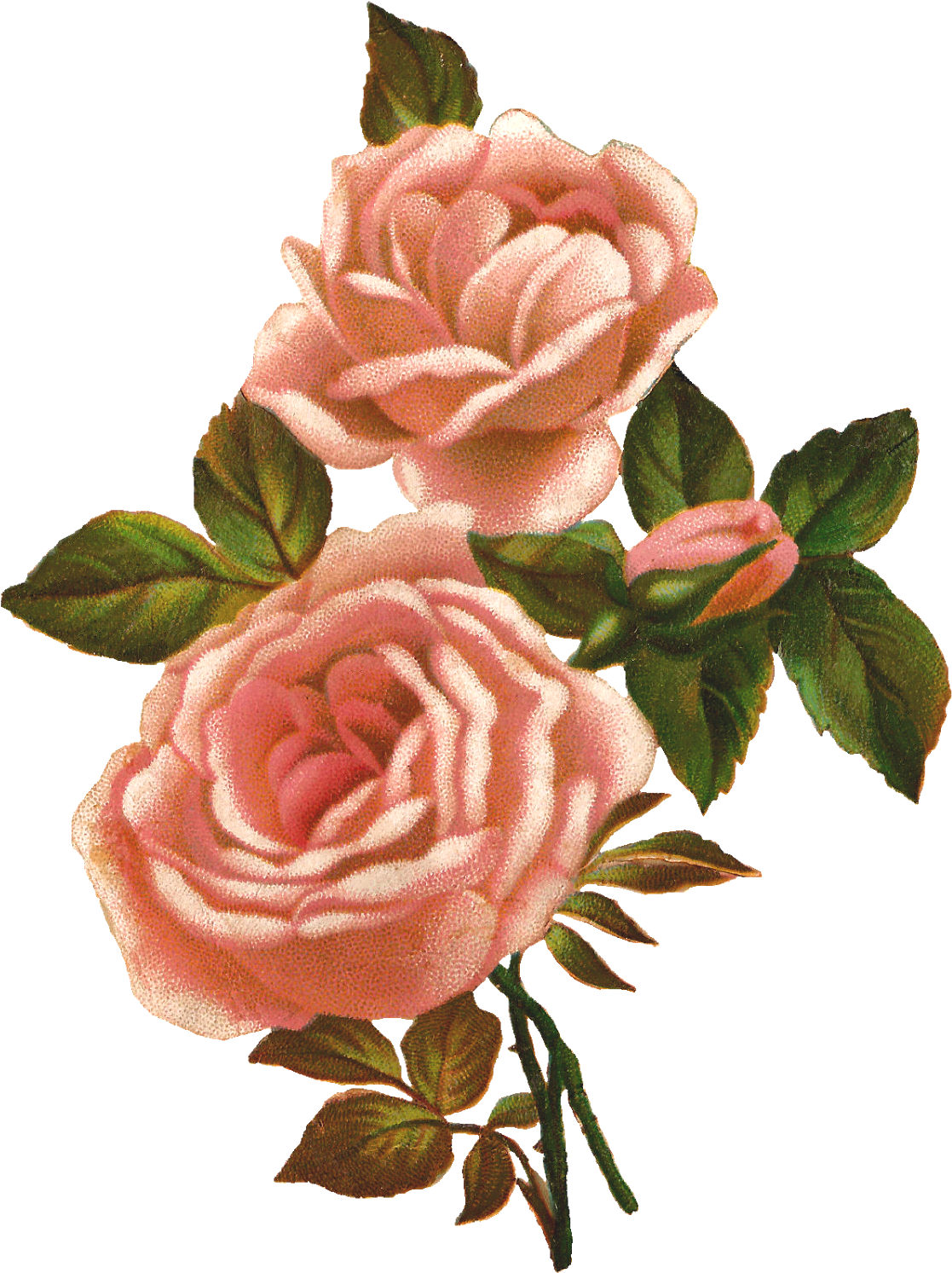 Flower Vintage Cliparts Free Download Best Flower Vintage - Vintage Roses Clip Art - Png Download (1250x1600), Png Download