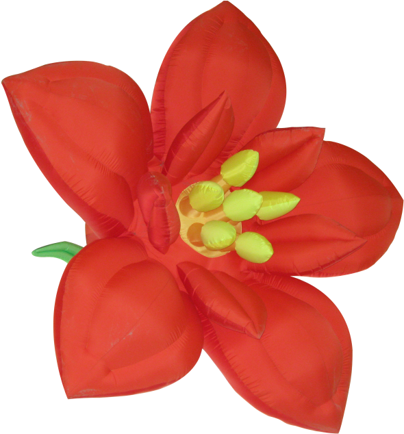 Flower - Poinsettia Clipart (866x650), Png Download