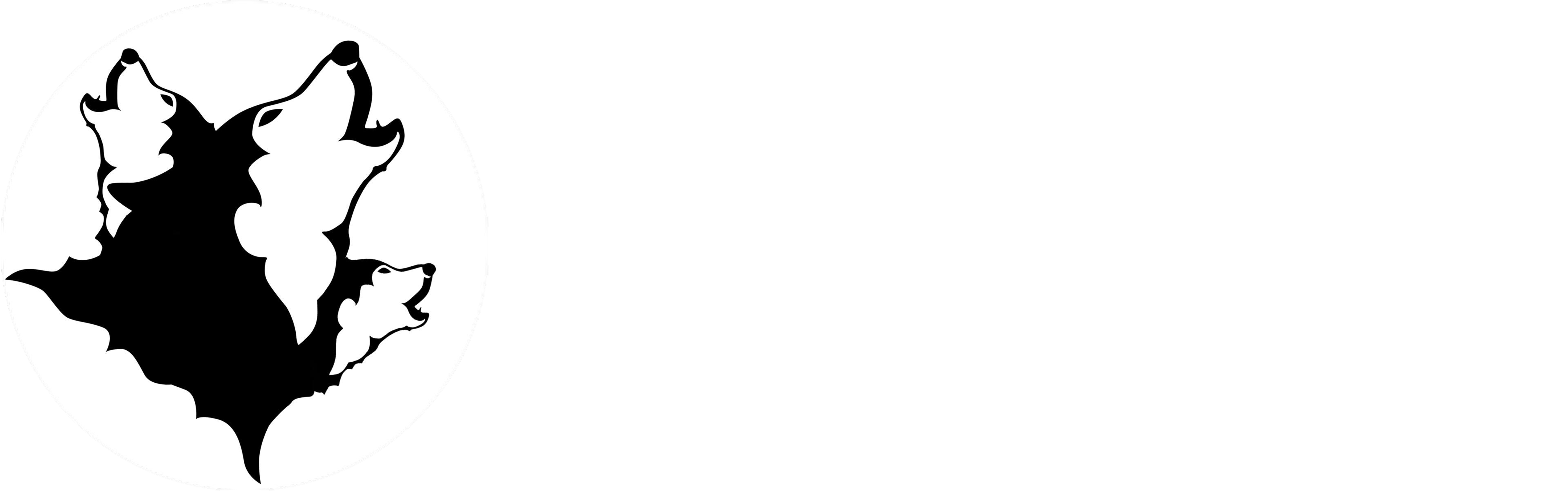 Lobo Music Group, Inc - Circle Clipart (5887x1844), Png Download