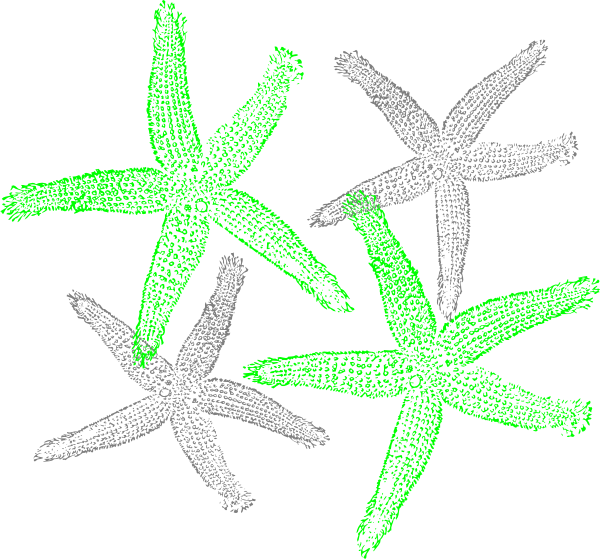 Starfish Prints Png - Clip Art Transparent Png (600x559), Png Download