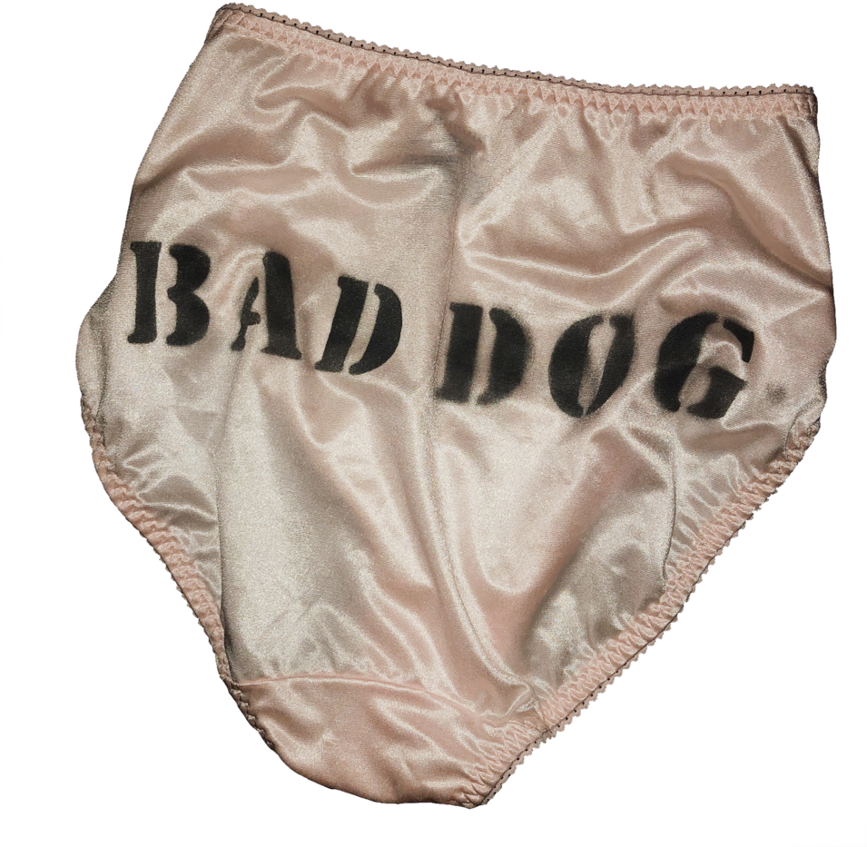 Underpants Clipart (1000x1000), Png Download