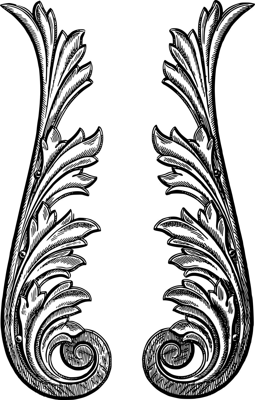 Flourishes Svg Free Retro Vector - Vector Vintage Flourish Png Clipart (1000x1563), Png Download