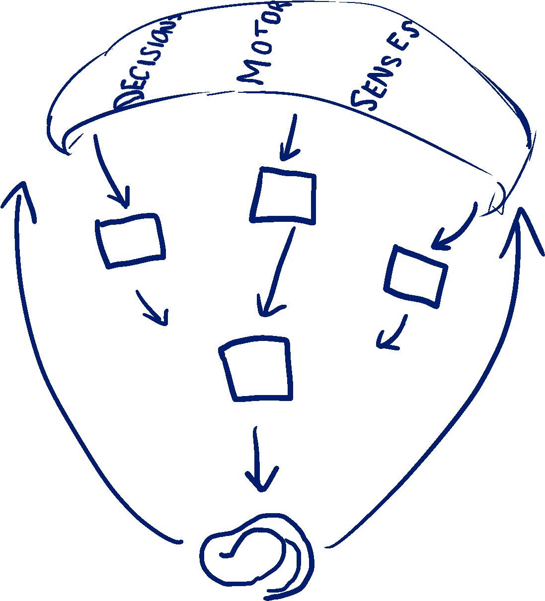 At The Bottom Of The Basal Ganglia, There's A Structure - Line Art Clipart (1191x1684), Png Download