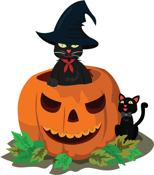Strayfm Hallow Trick Or Treat - Pumpkin Easy Cat Clipart (620x620), Png Download