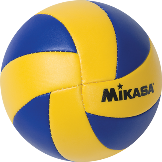 Volleyball Ball Clipart (800x800), Png Download