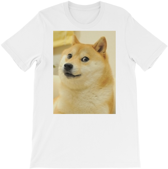 Doge Full - Post Ironic Doge Meme Clipart - Large Size Png Image - PikPng