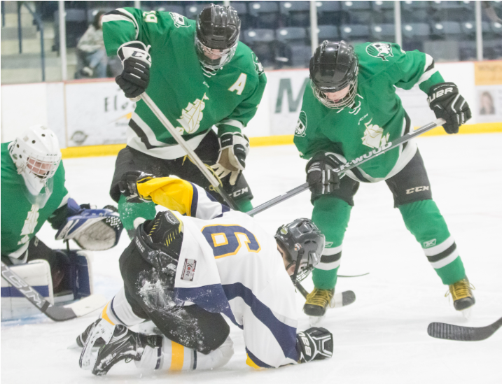 College Ice Hockey Clipart (1251x551), Png Download