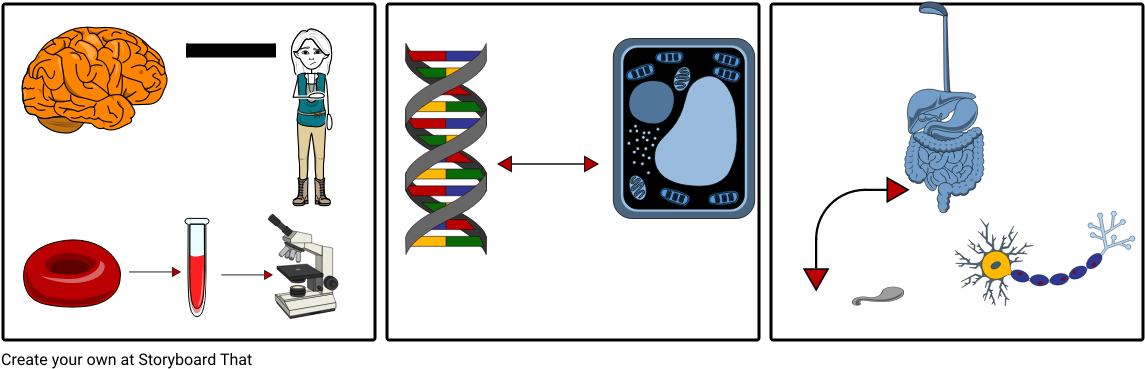 Biology Clipart (1164x385), Png Download