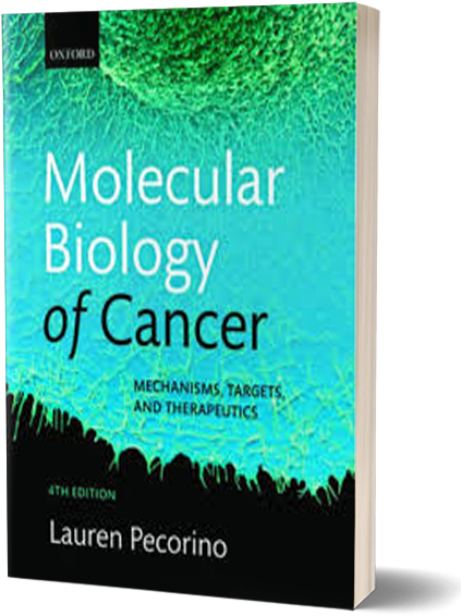 Molecular 3d - Flyer Clipart (520x613), Png Download