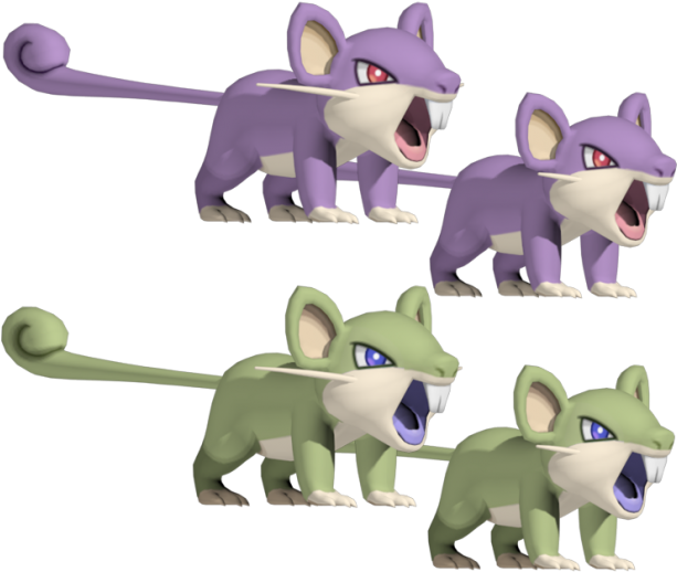 Rattata 3d Model , Png Download - Rattata Model Clipart (613x518), Png Download