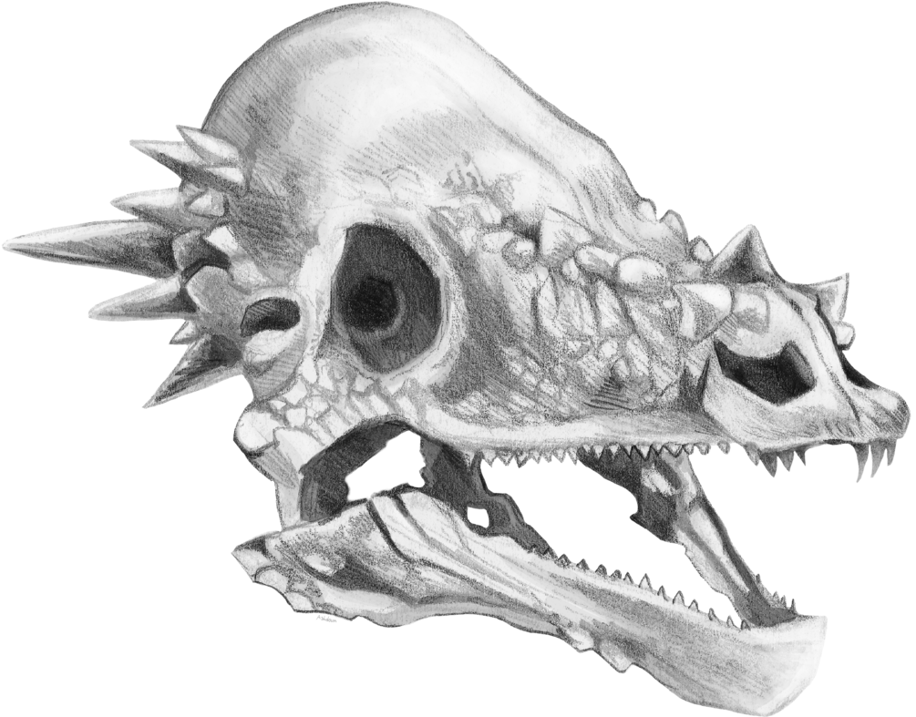 Dragonborn-png 284244 Clipart (1016x786), Png Download