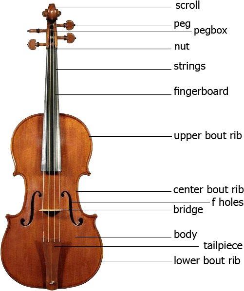 Viola Patrs - Il Cannone Guarneri Del Gesù 1743 Clipart (626x626), Png Download