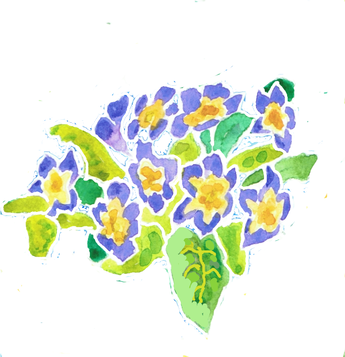 Clipart Freeuse Stock Judy Adamson S Art Design Blog - Viola - Png Download (710x733), Png Download