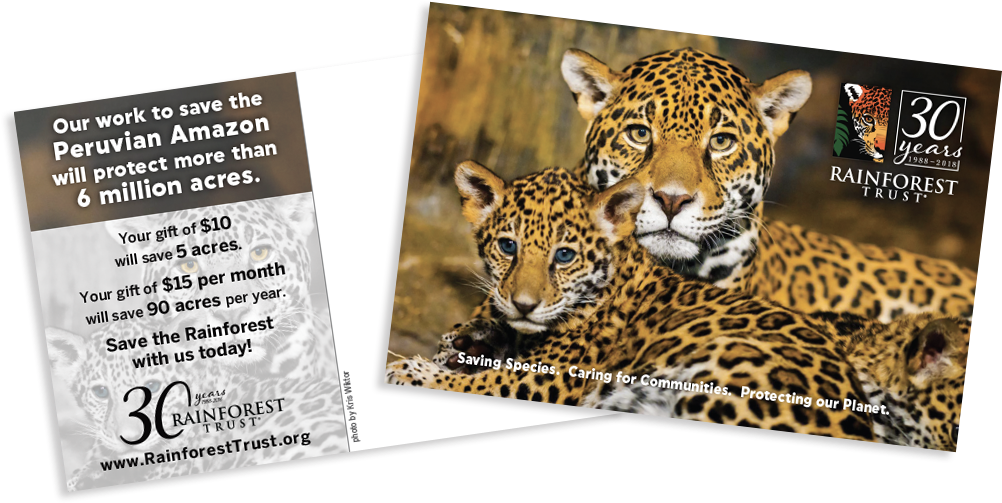Rt Jaguar Postcard - Milwaukee County Zoo Clipart (1166x658), Png Download