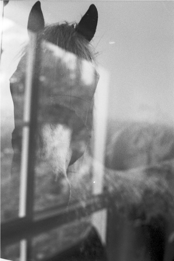 Sweetest Love Is Found In Death - Monochrome Clipart (867x1000), Png Download