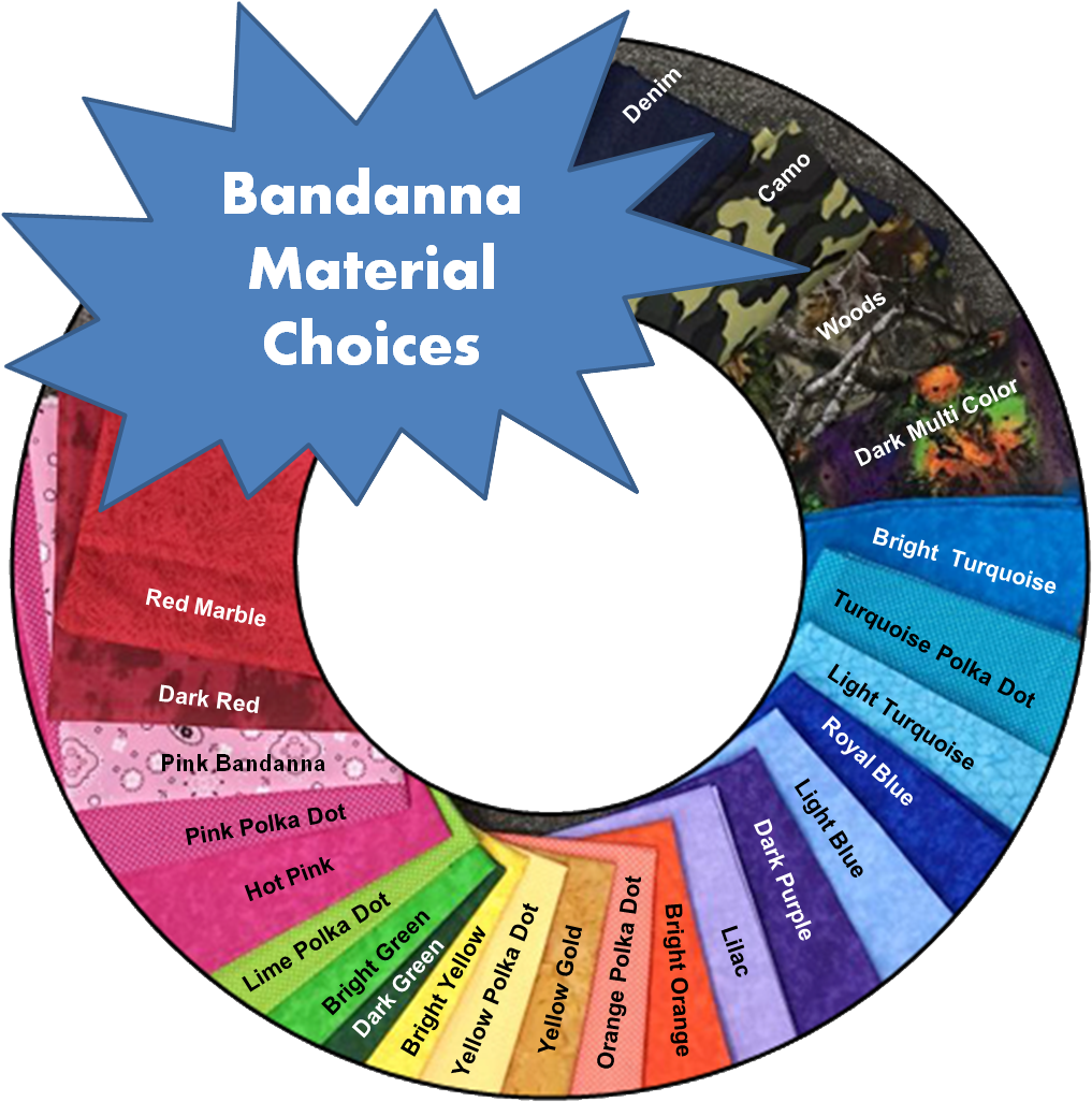 Pet Bandanas - Cardiovascular System Gcse Pe Clipart (1093x1169), Png Download