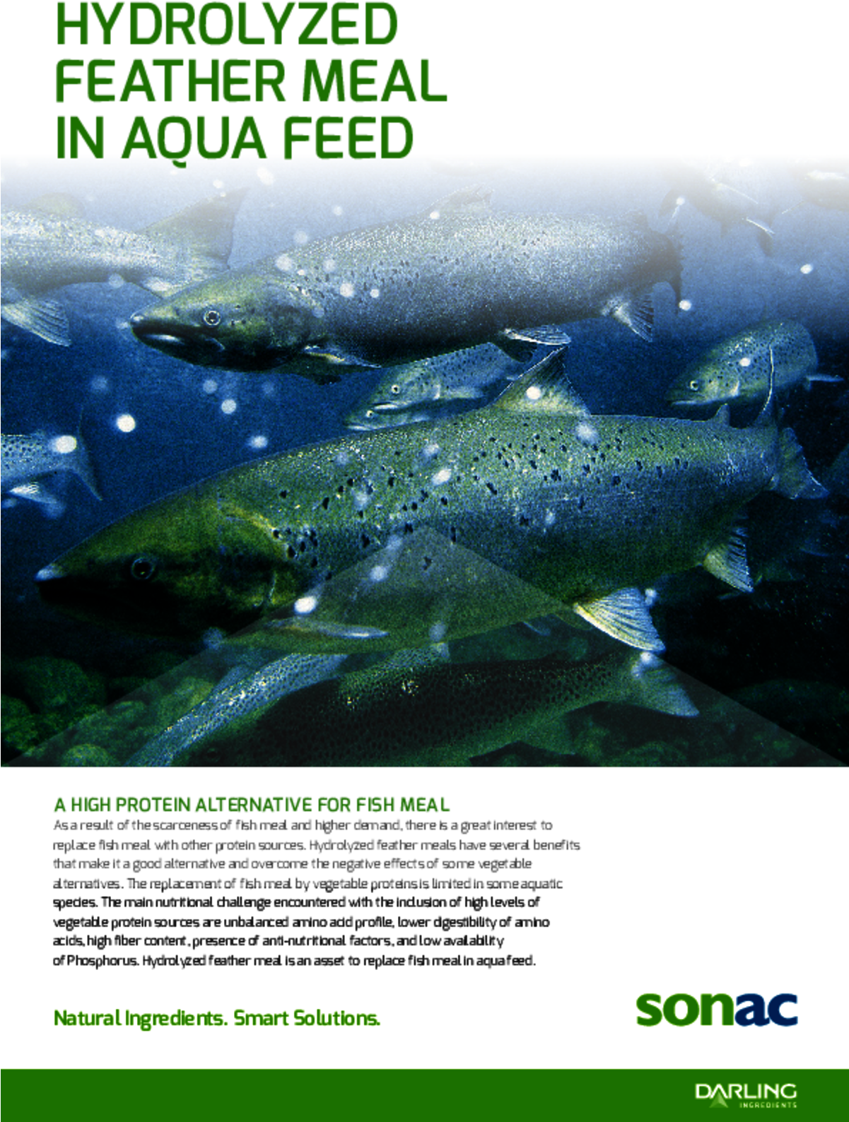 Hydrolyzed Feather Meal In Aqua Feed - Forage Fish Clipart (1200x1699), Png Download
