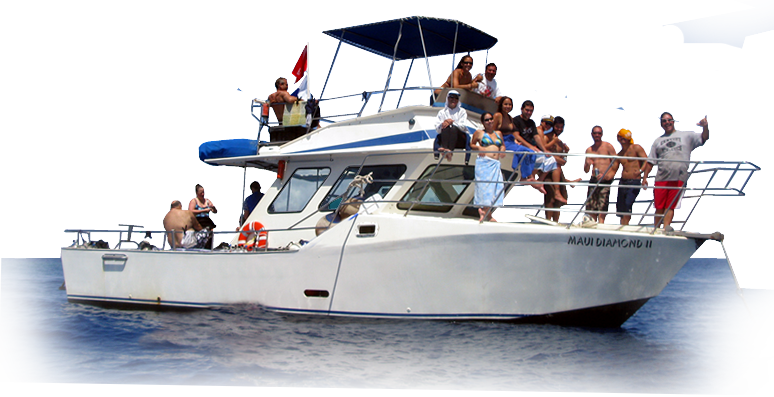 Explore The Tropical Hawaiian Waters From Our 40' Dive - Picnic Boat Clipart (774x397), Png Download