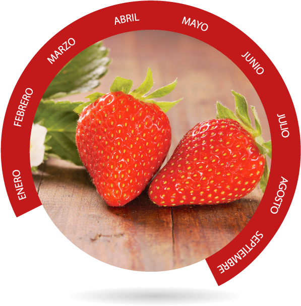 Berry , Png Download - Strawberry Clipart (597x607), Png Download